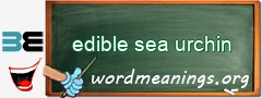 WordMeaning blackboard for edible sea urchin